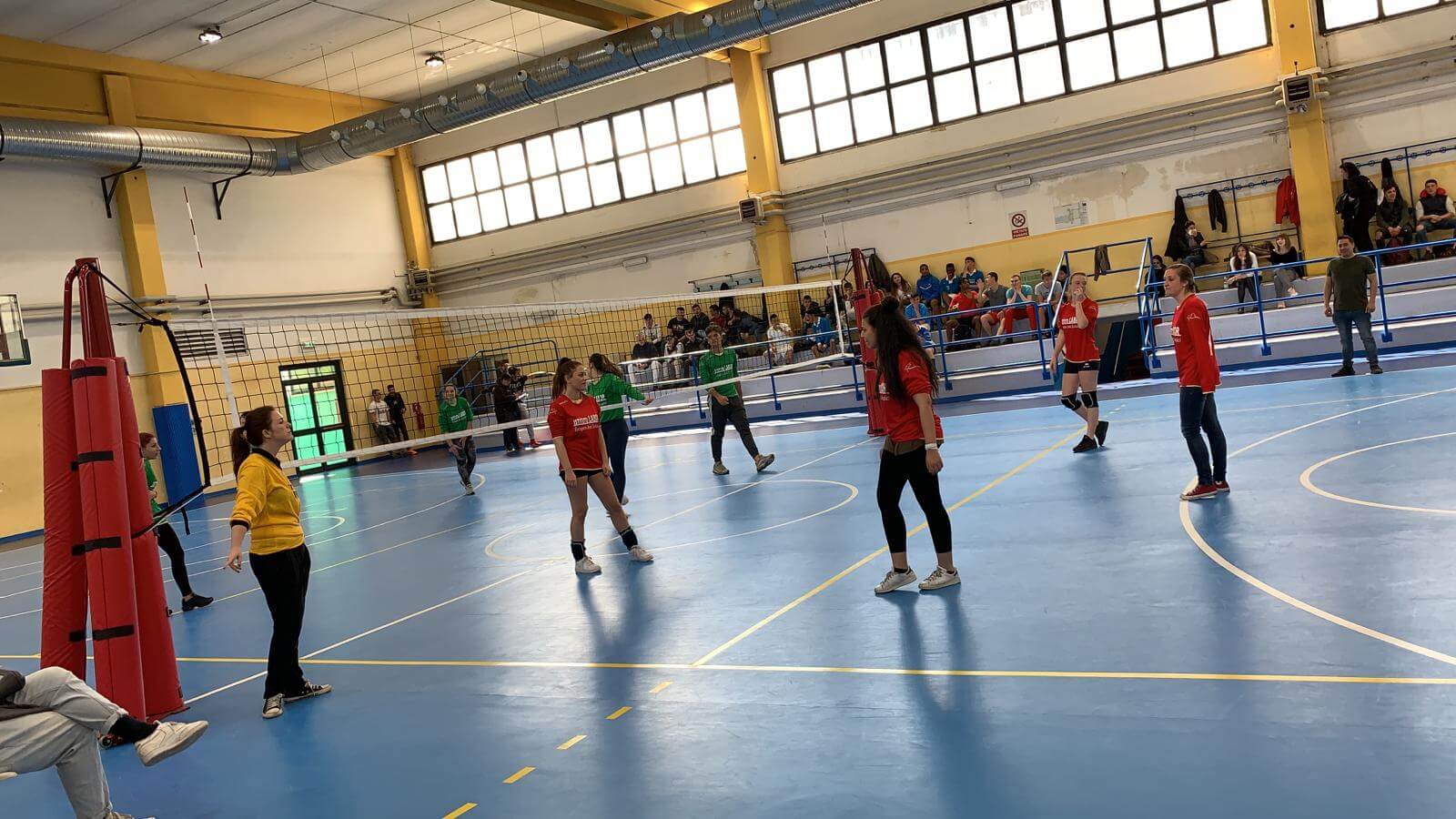 torneo pallavolo